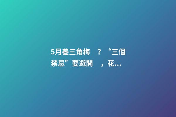 5月養三角梅？“三個禁忌”要避開，花開滿枝頭，獨苗變懸崖老樁